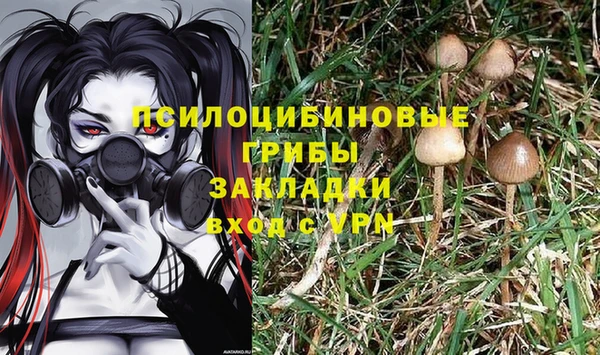 индика Алексин